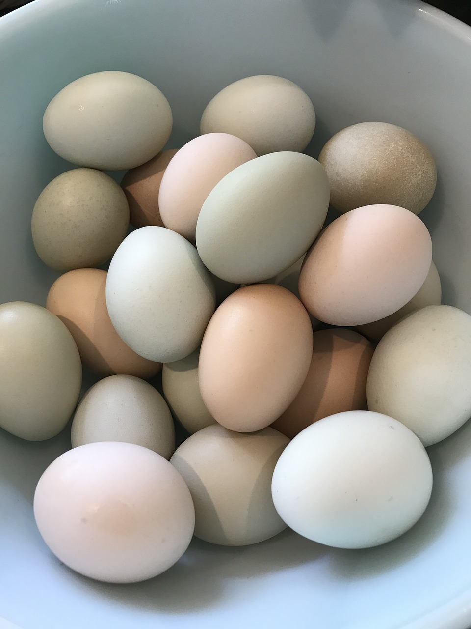 eggs pastel homegrown free photo