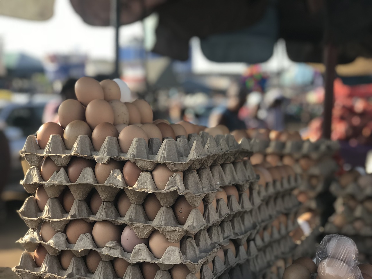 eggs  market  crate free photo