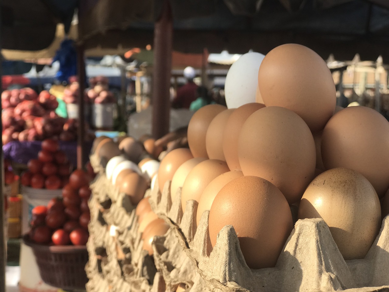 eggs  market  food free photo