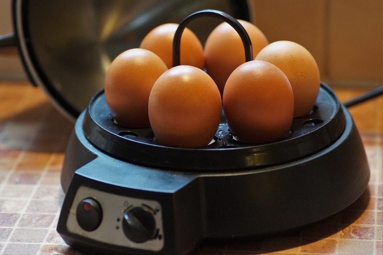 eggs  cooked  on free photo