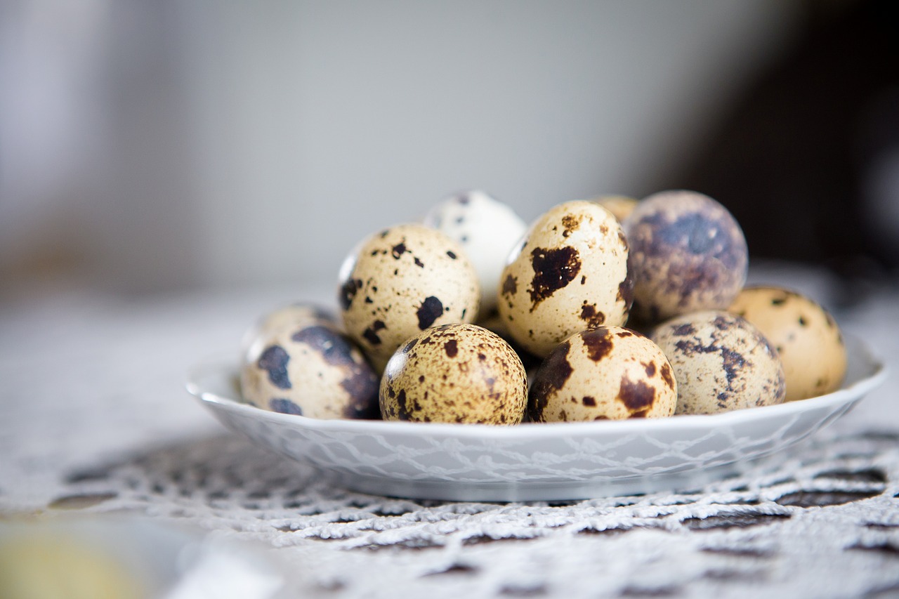 eggs  table  plate free photo