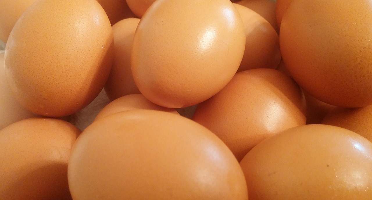 eggs food shell free photo