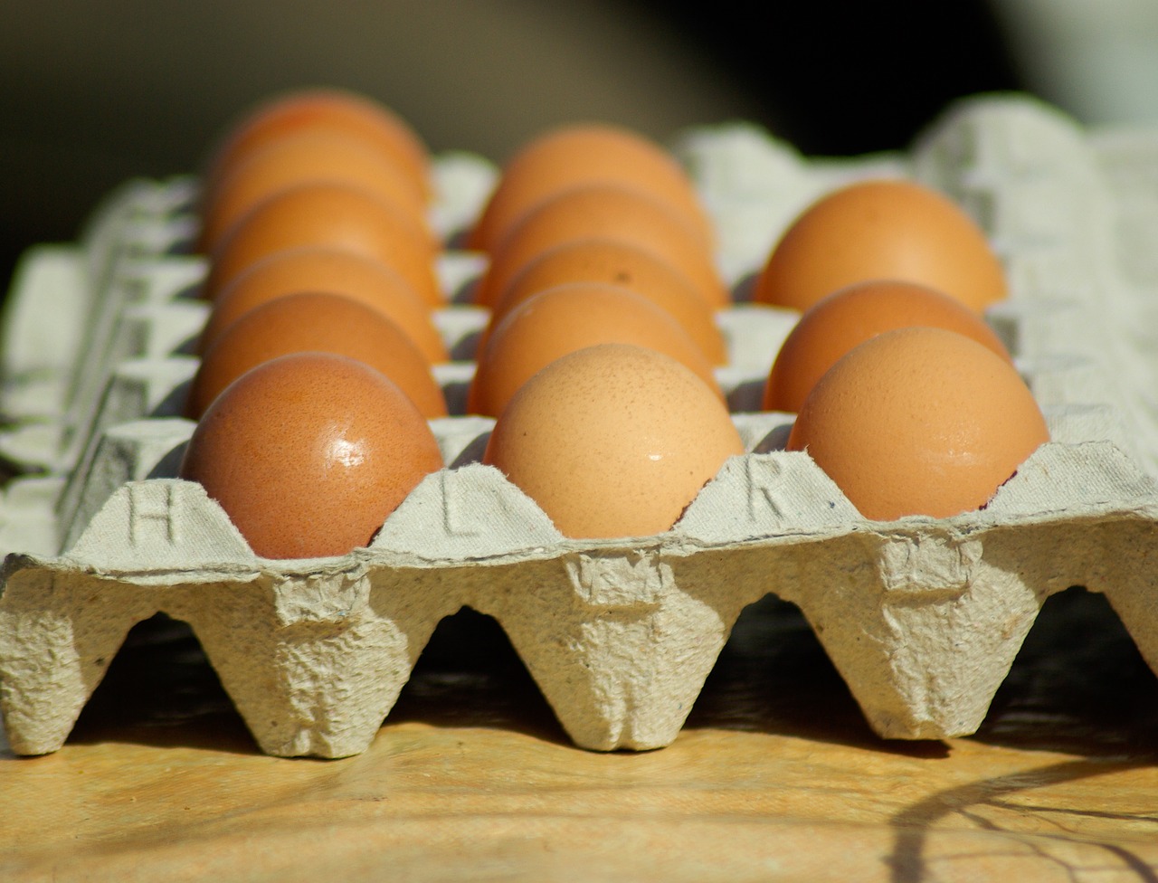 eggs hens kitchen free photo