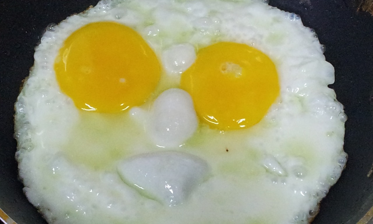 eggs life cooking free photo