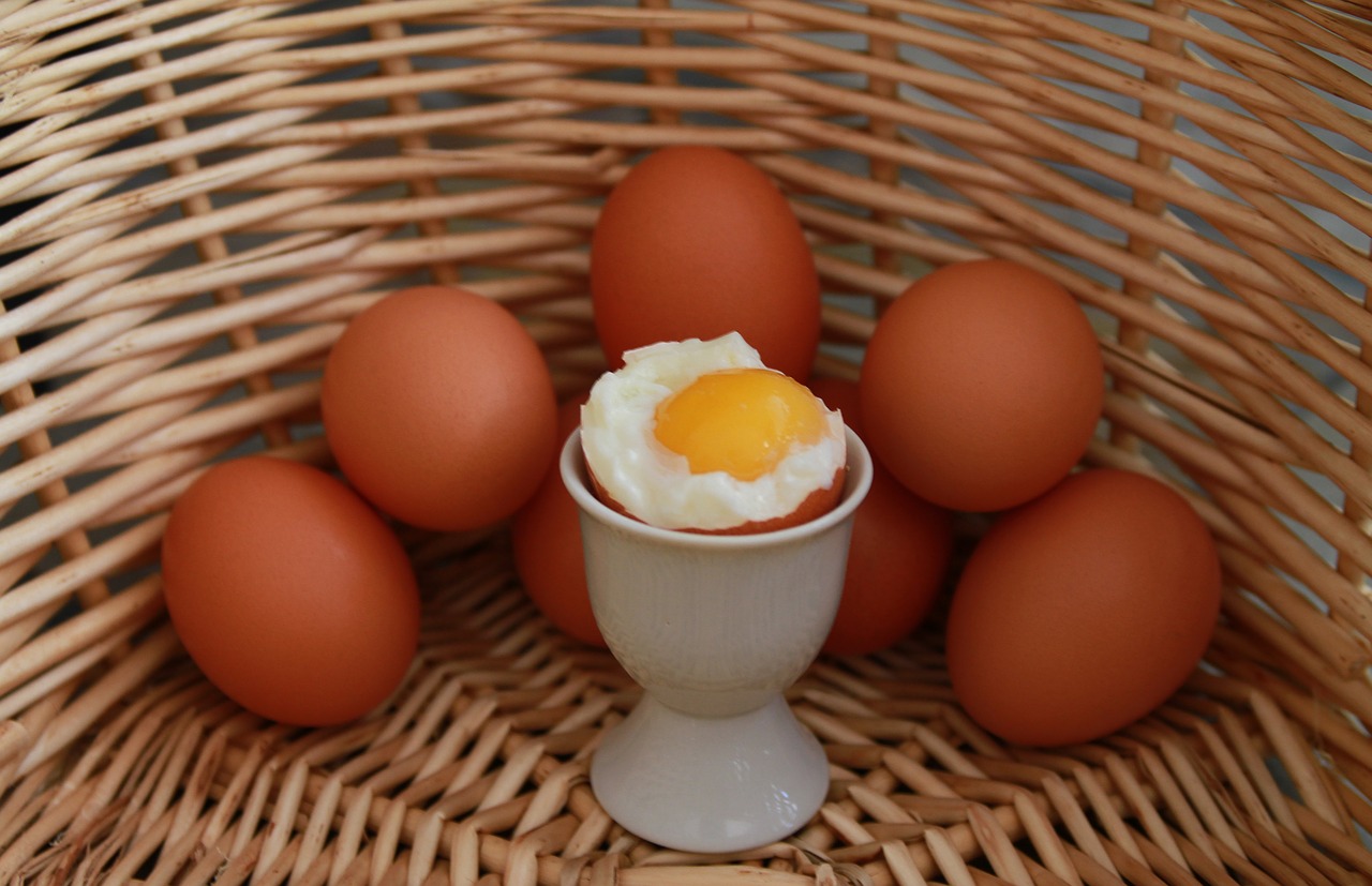 eggs egg basket free photo