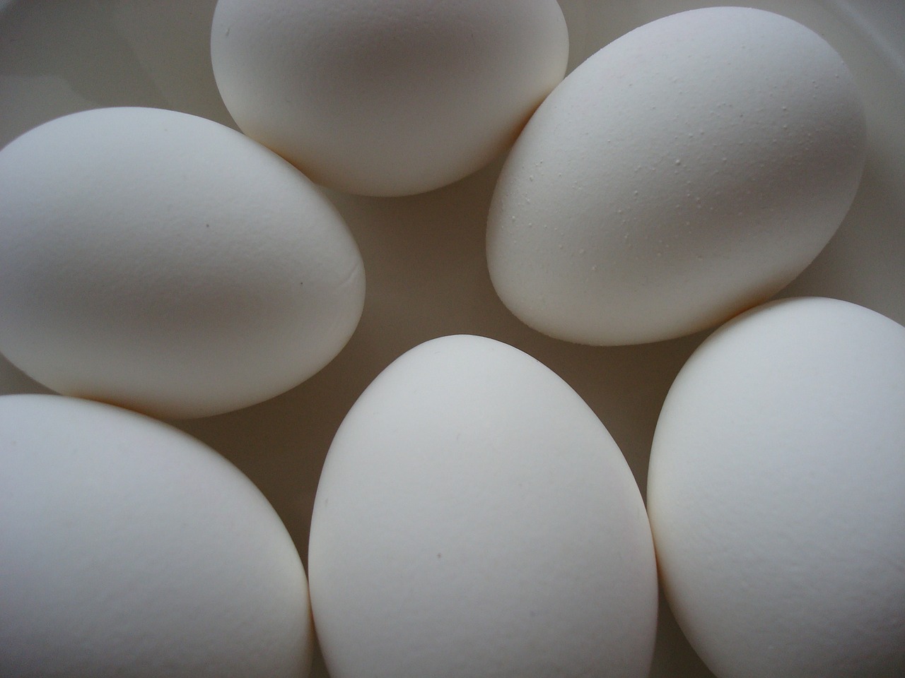 eggs white breakfast free photo