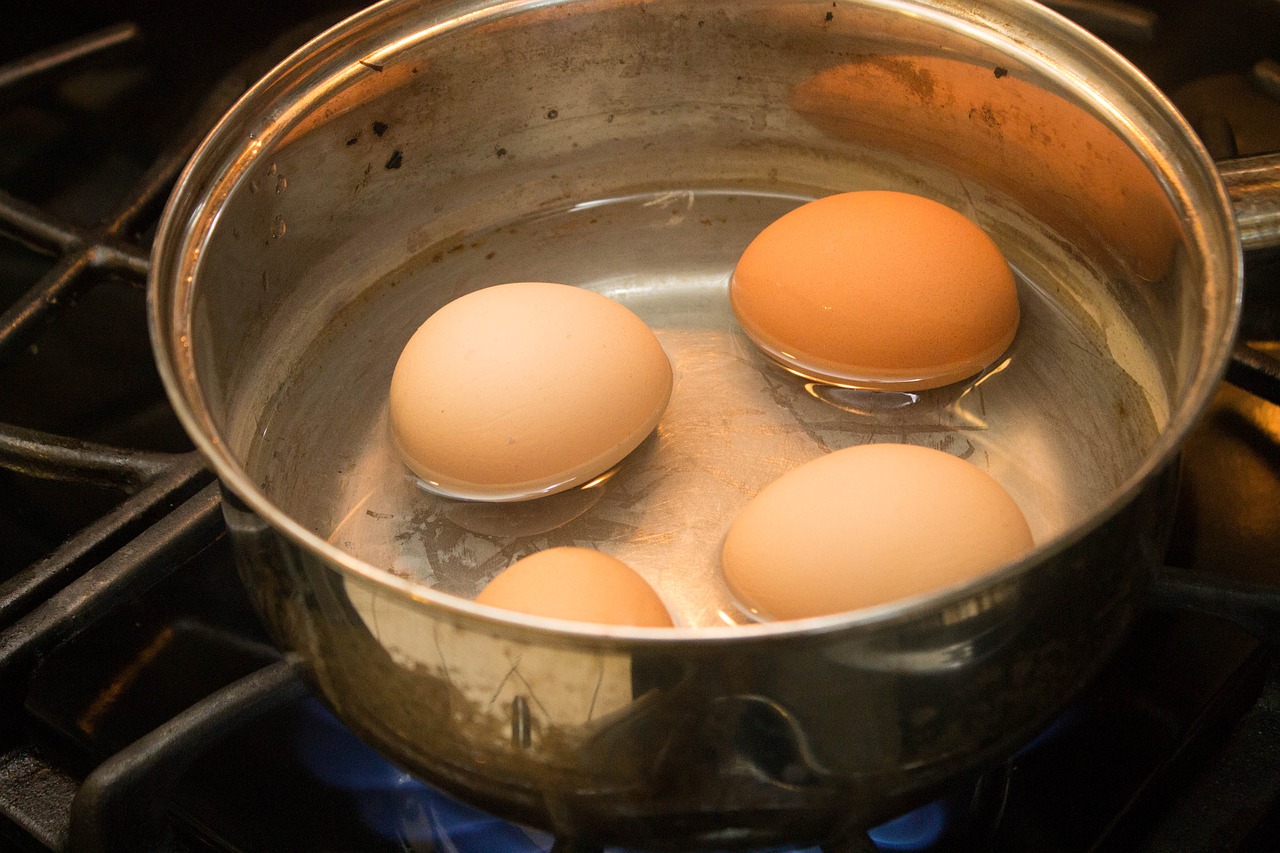 eggs boiled eggs breakfast free photo