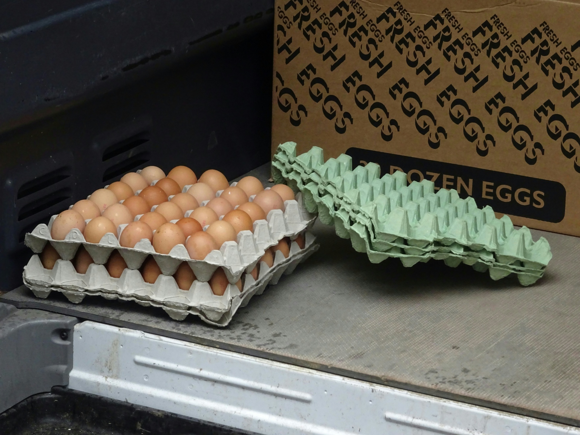 egg eggs dairy free photo
