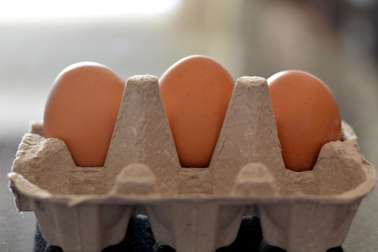 eggs in container food healthy free photo