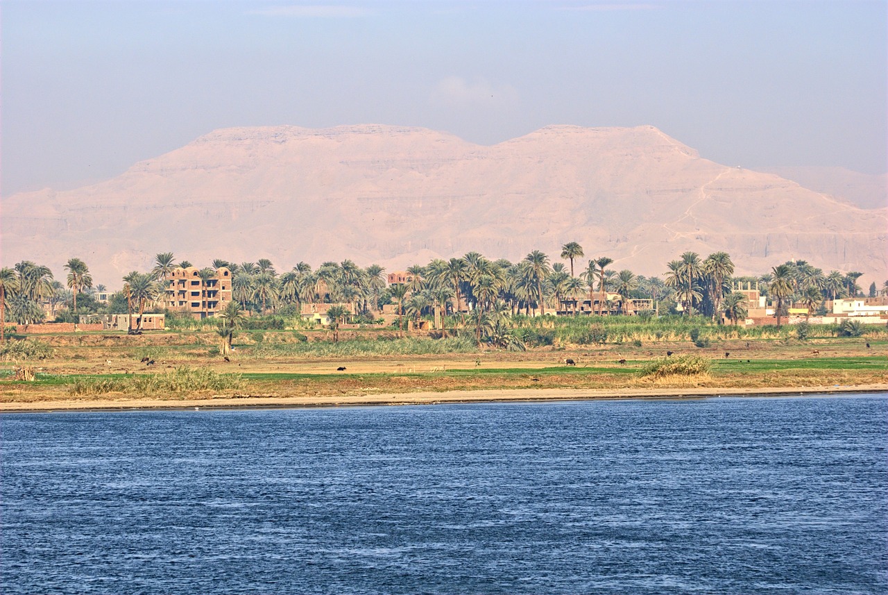 egypt summer nature free photo