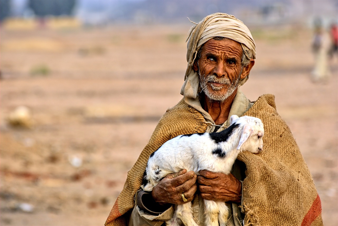 egypt man bedouin free photo