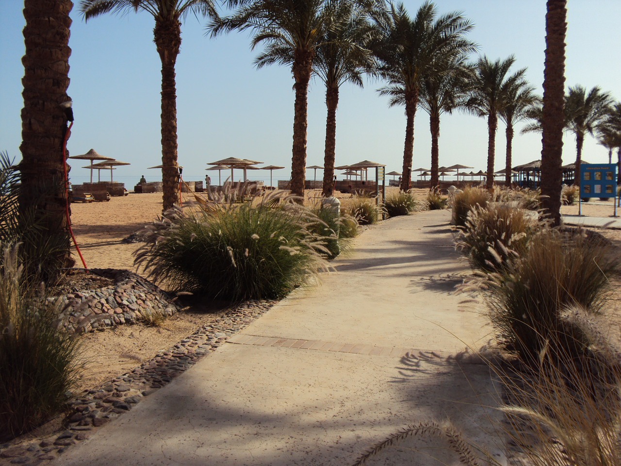 egypt taba desert free photo