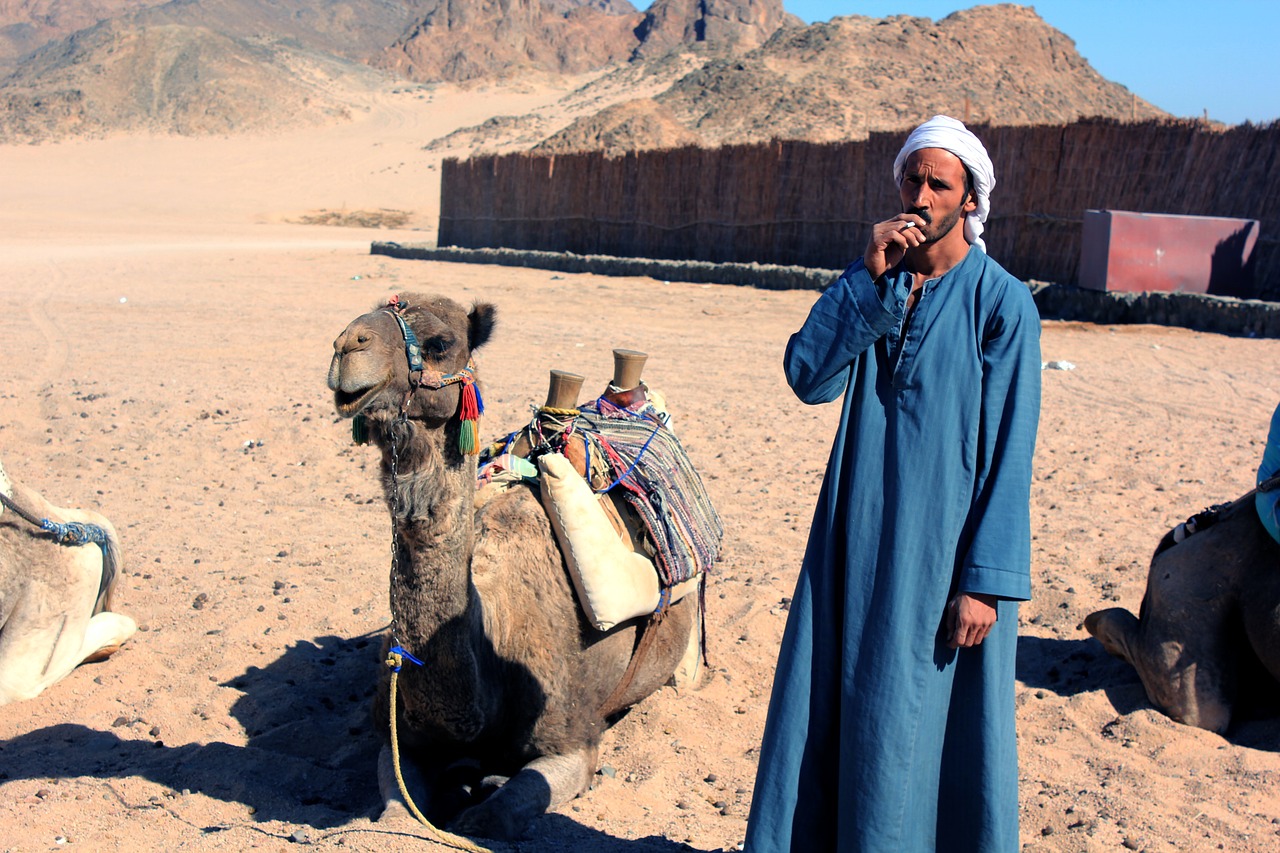 egypt bedouin sahara free photo
