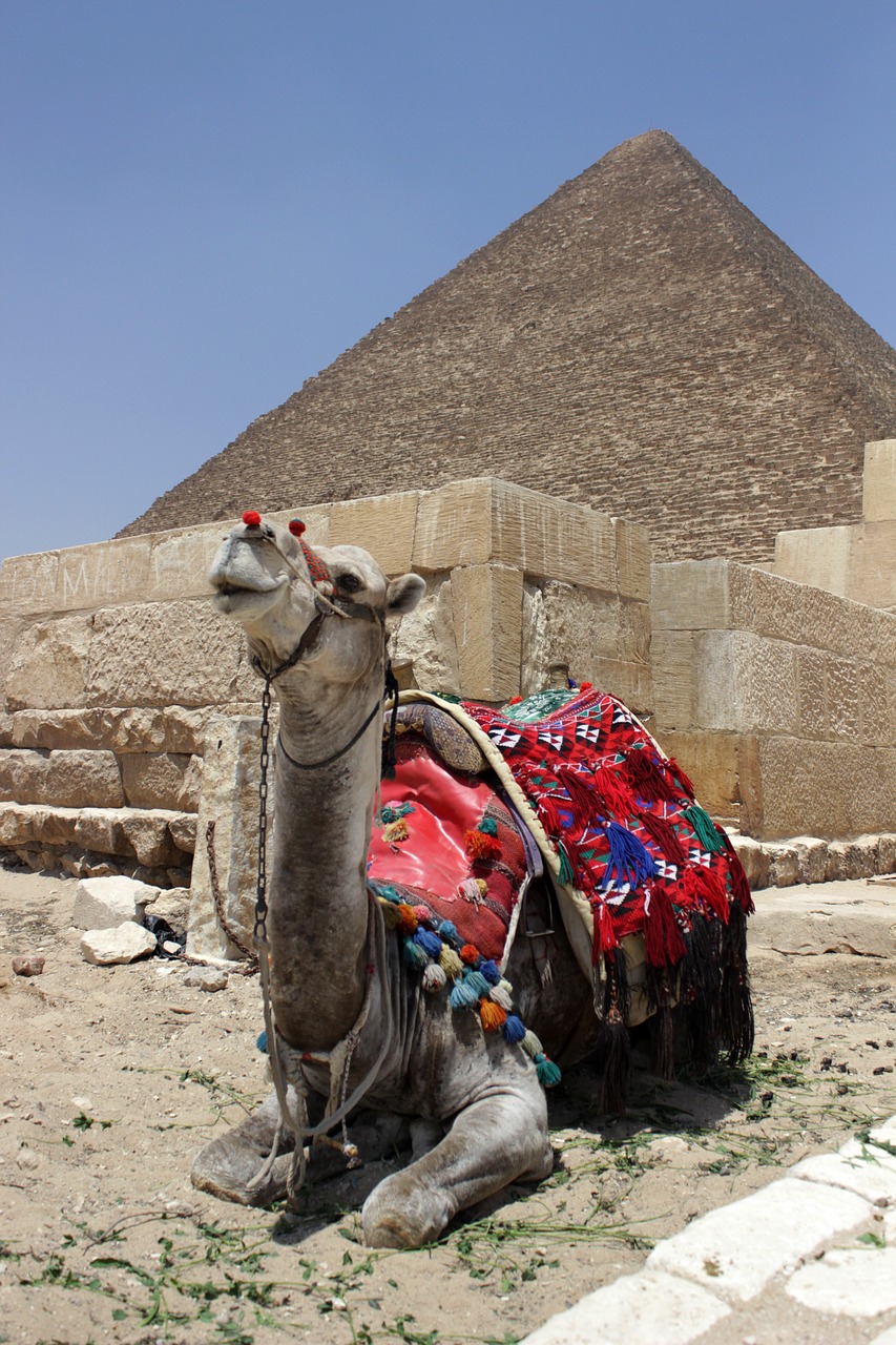 egypt cairo eastern pyramid free photo