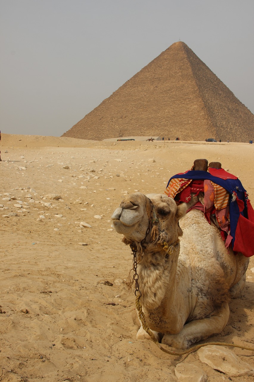 egypt africa pyramid free photo