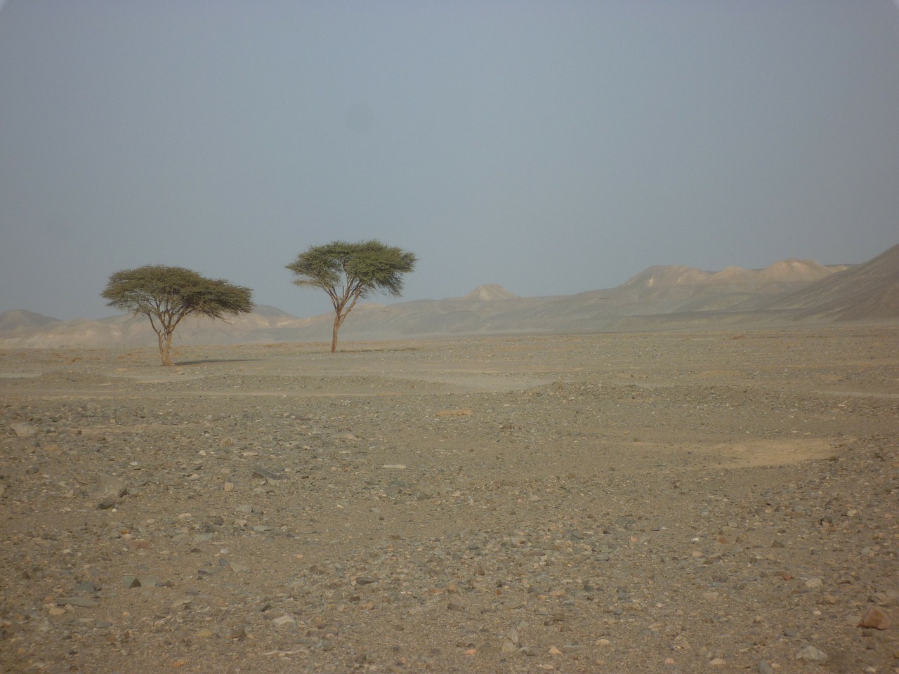 egypt desert lonely free photo