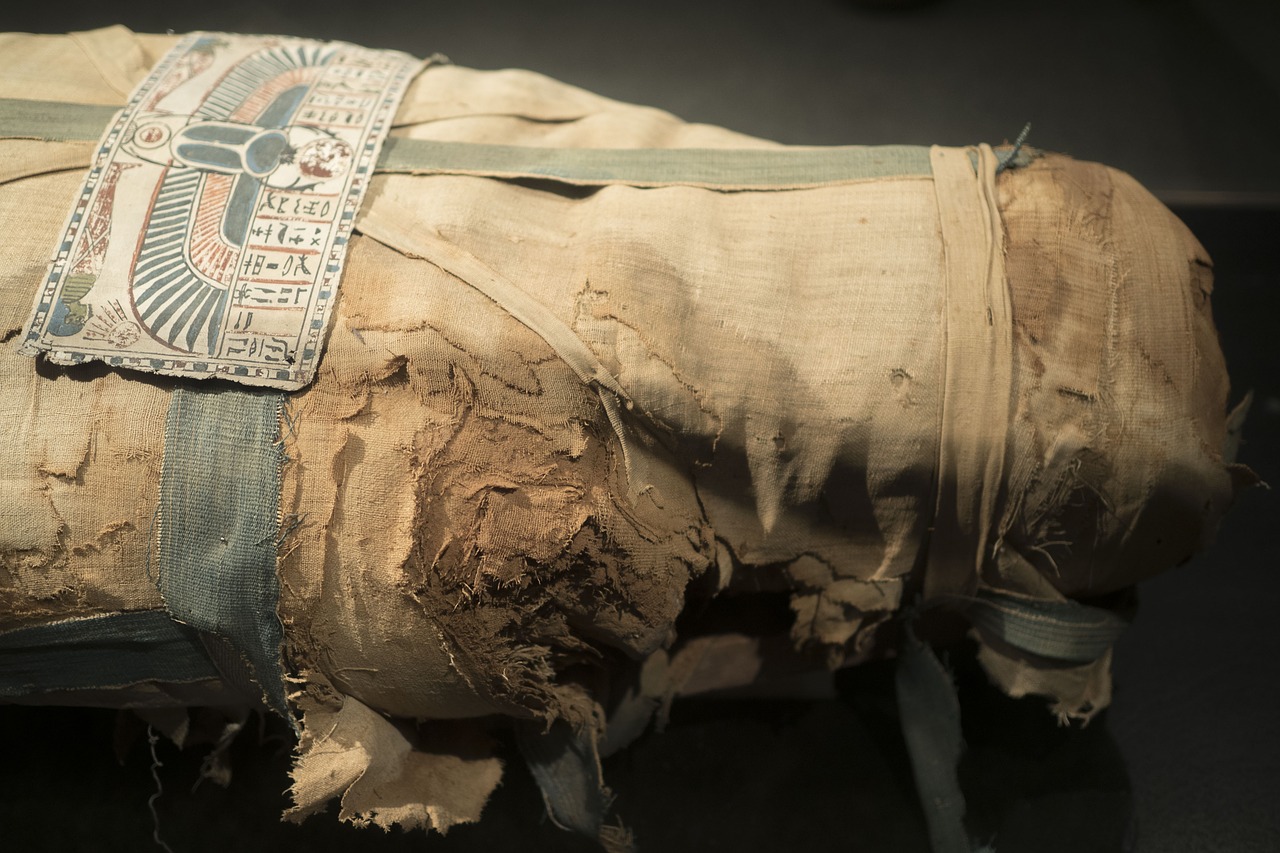 egypt mummy egyptian free photo