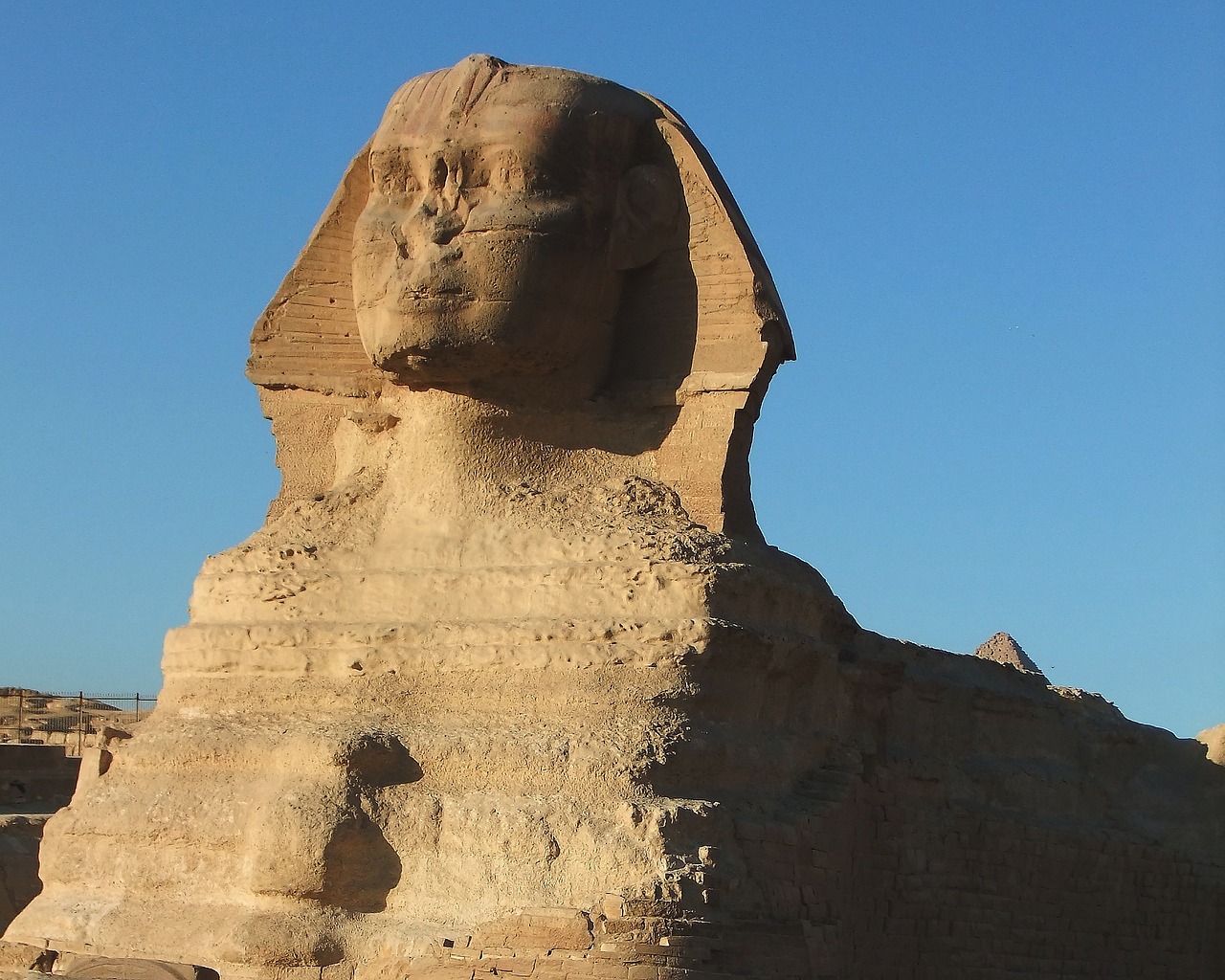 egypt  sphinx  statue free photo