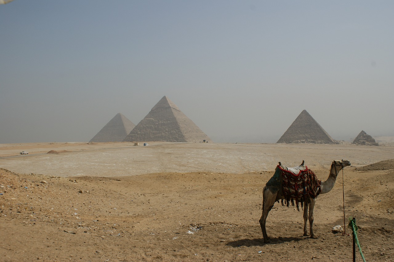 egypt  giza  pyramids free photo