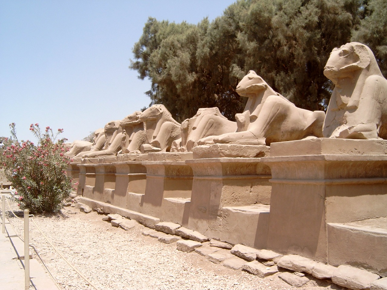 egypt temple luxor free photo