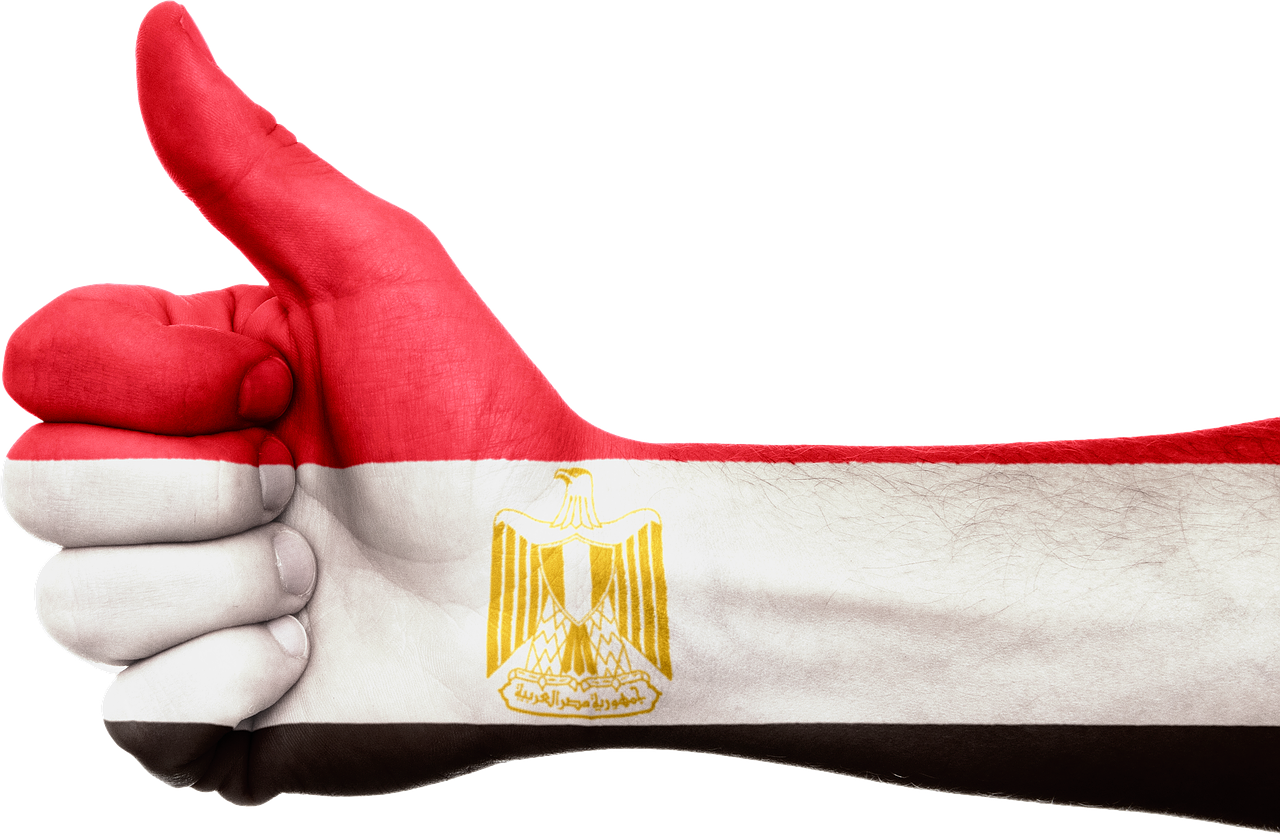 egypt flag hand free photo