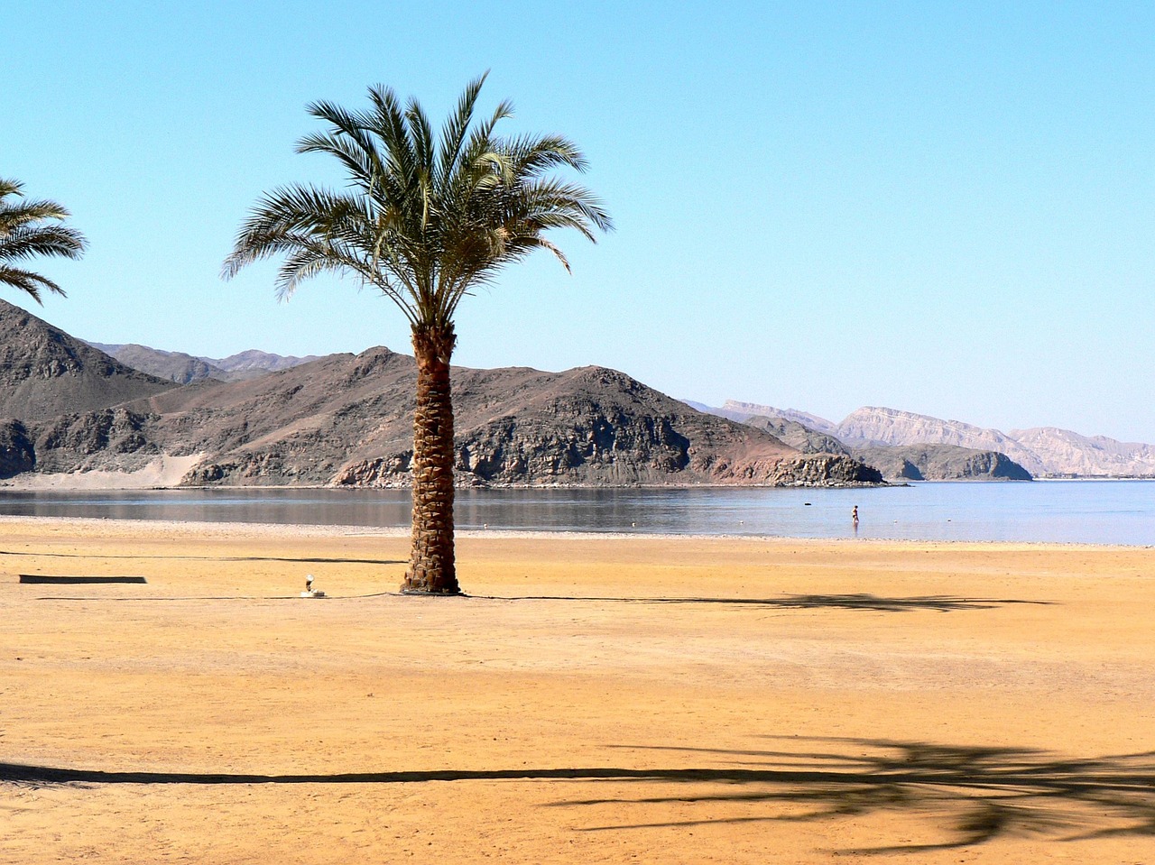 egypt red sea beach free photo