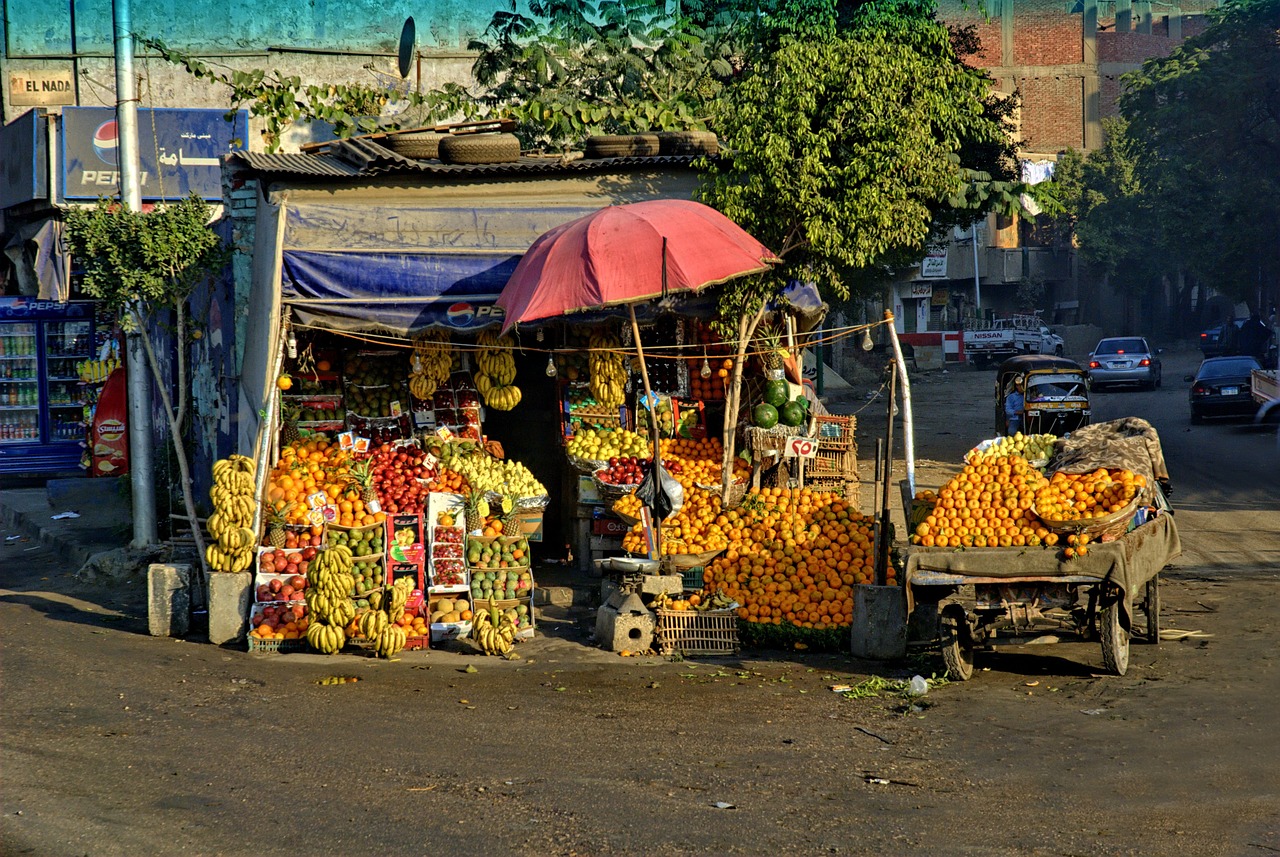 egypt called rothmans fruit free photo