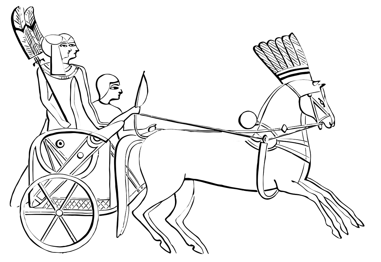 egyptian chariot horses ancient free photo