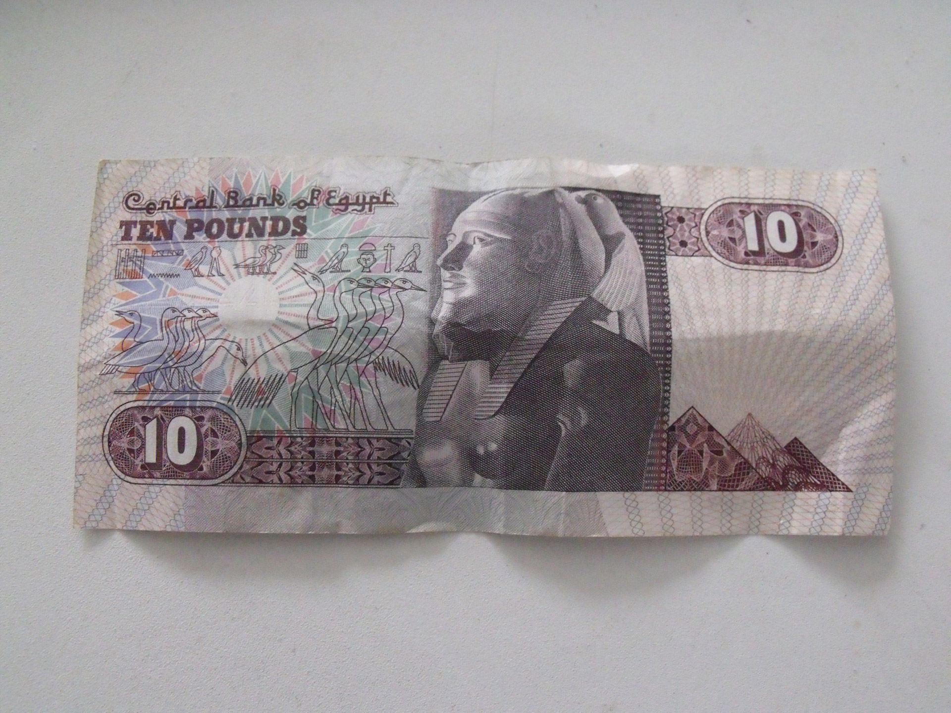 egyptian pound ten pound note currency free photo