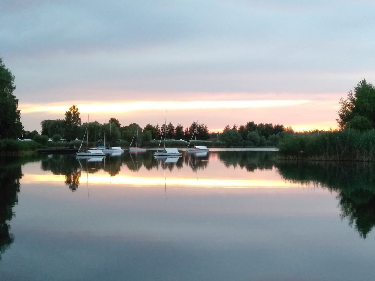 ehrlichsee  lake  summer free photo