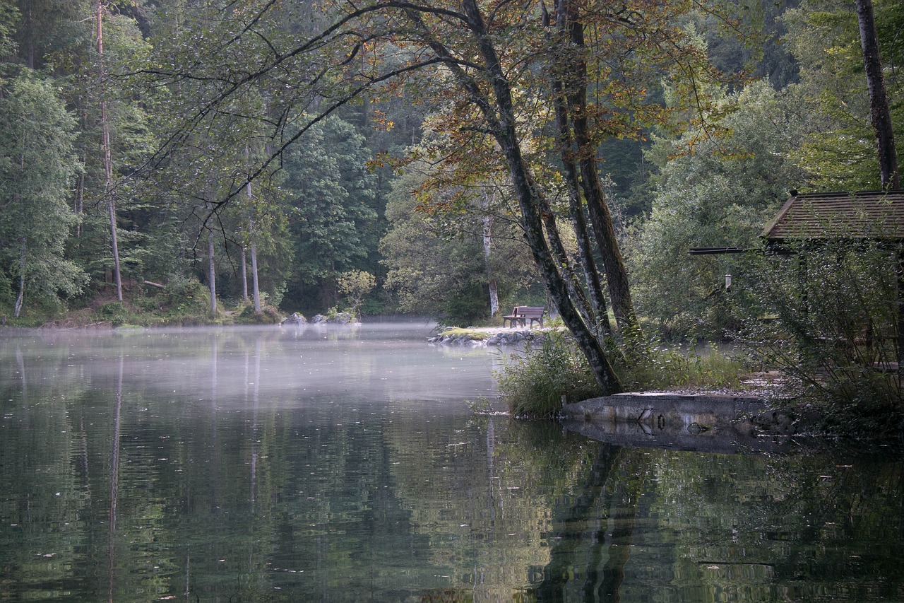 eibsee  fog  bank free photo