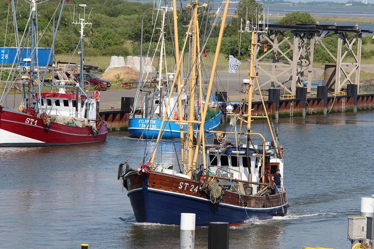 eider barrage port shrimp ships free photo
