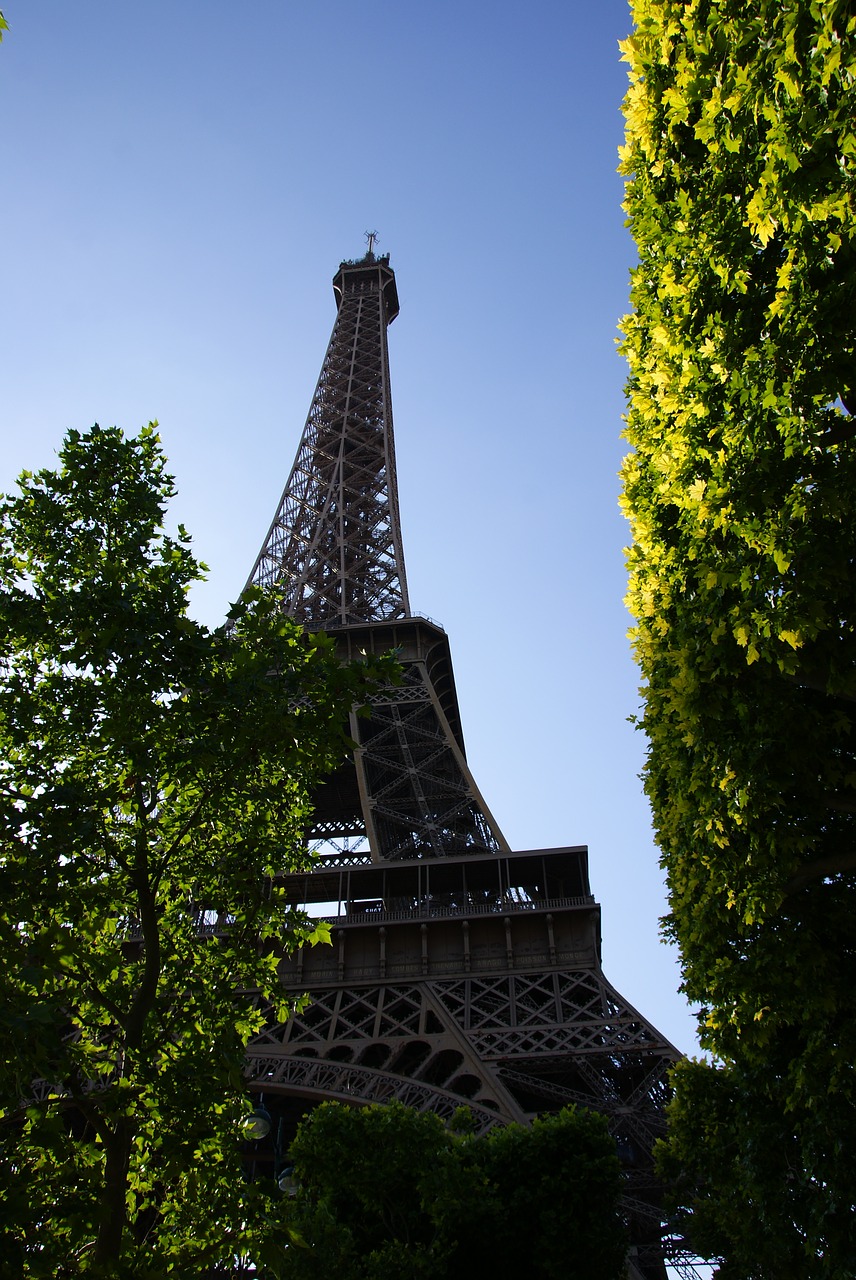 eiffel tower perspective free photo