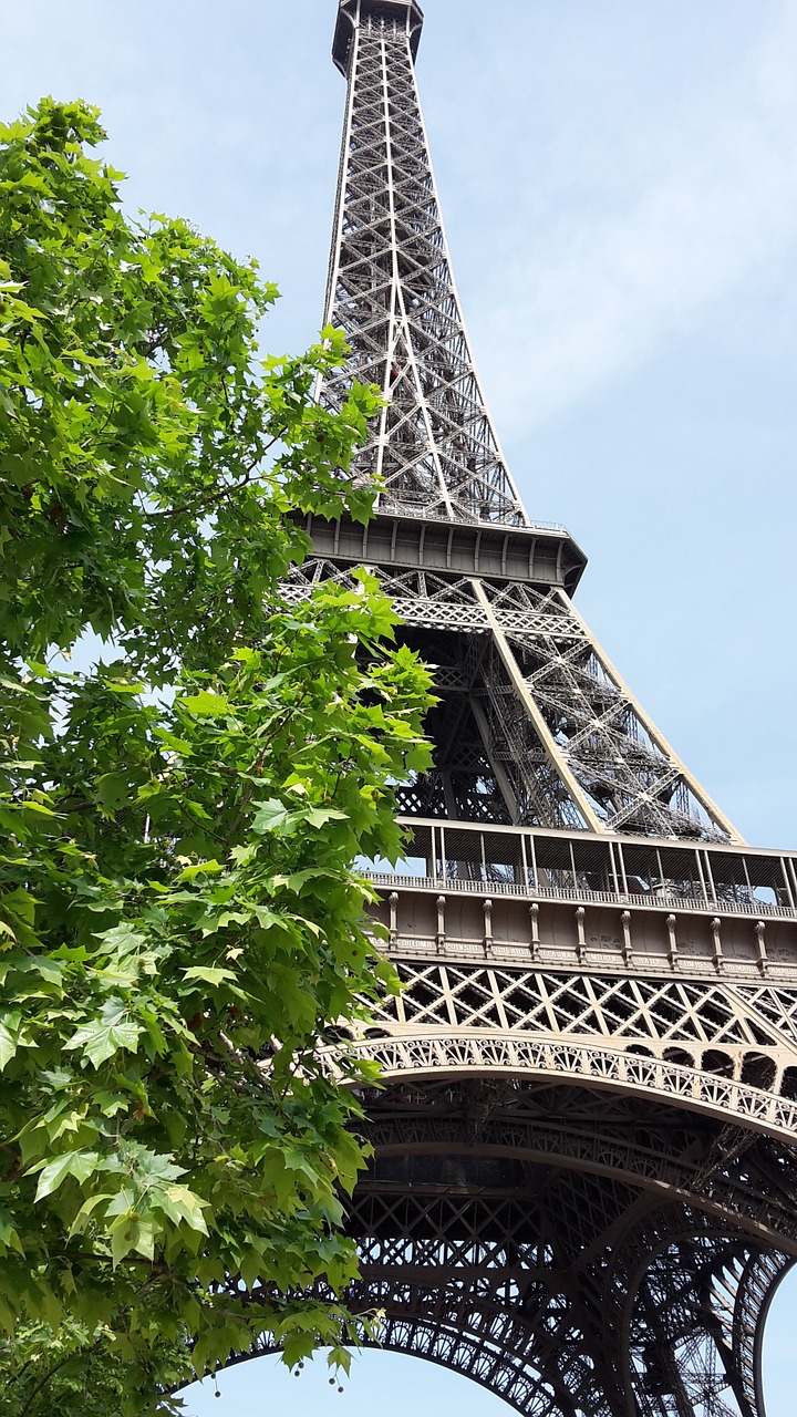 eiffel tower paris tree free photo