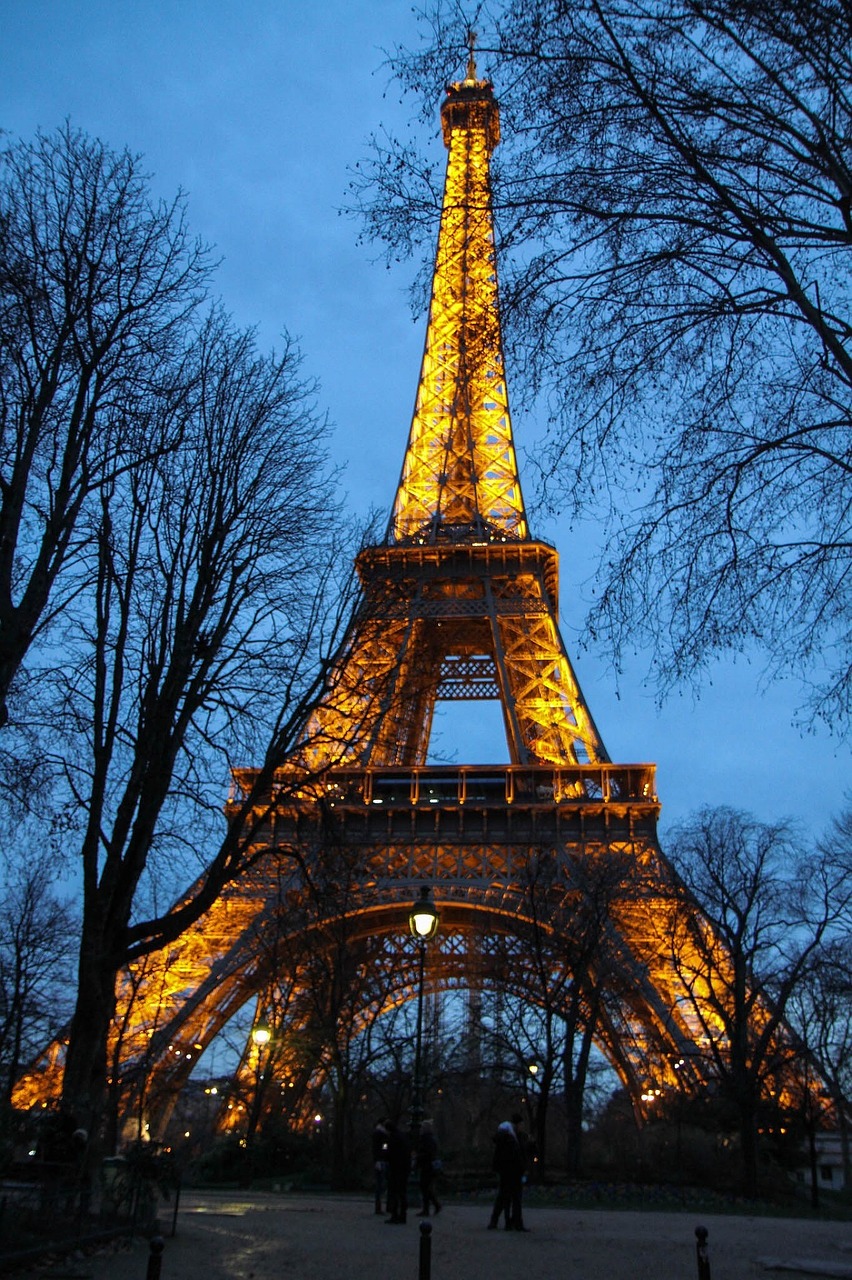 eiffel tower trees branches free photo