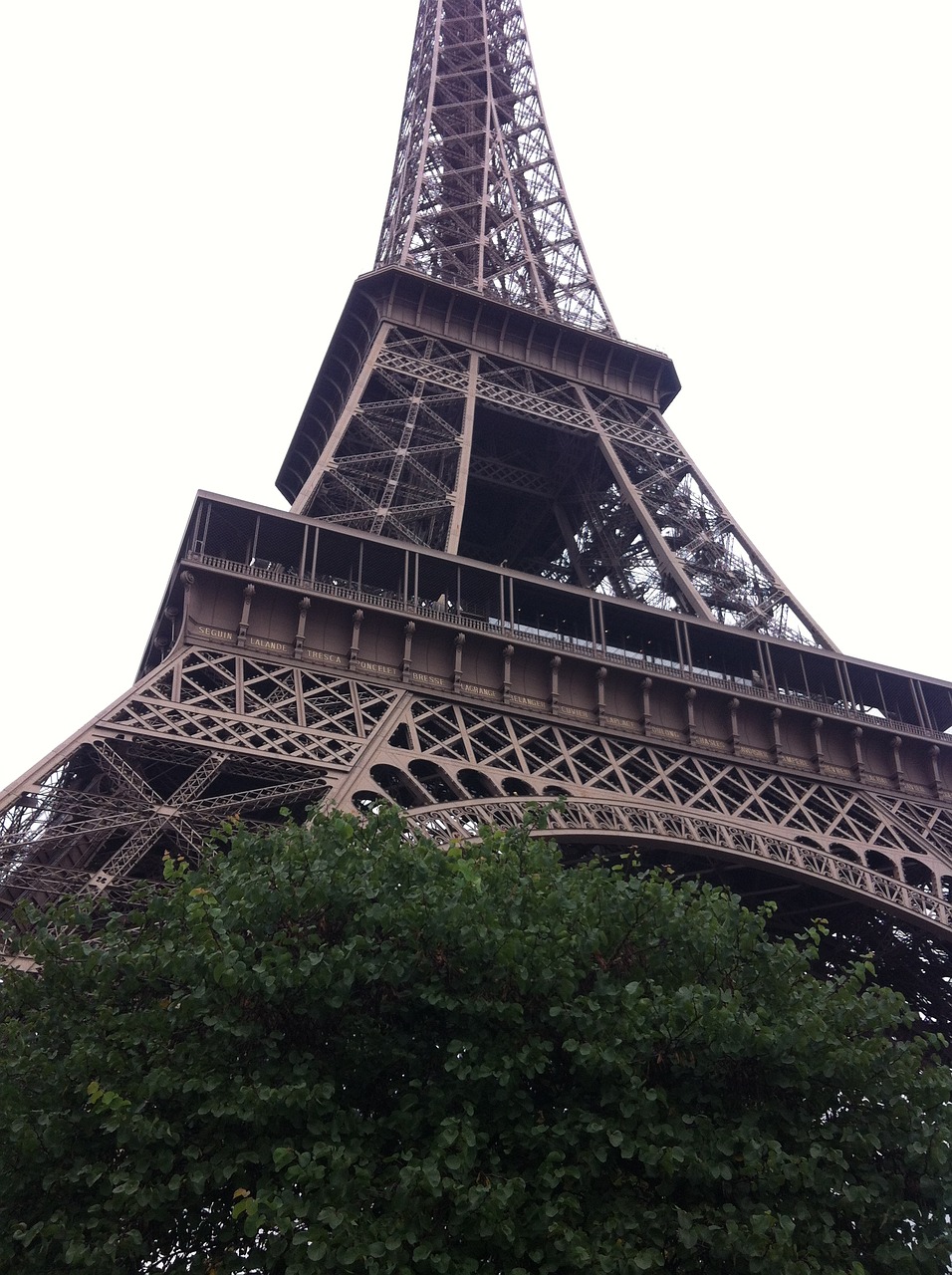 eiffel tower paris iron free photo