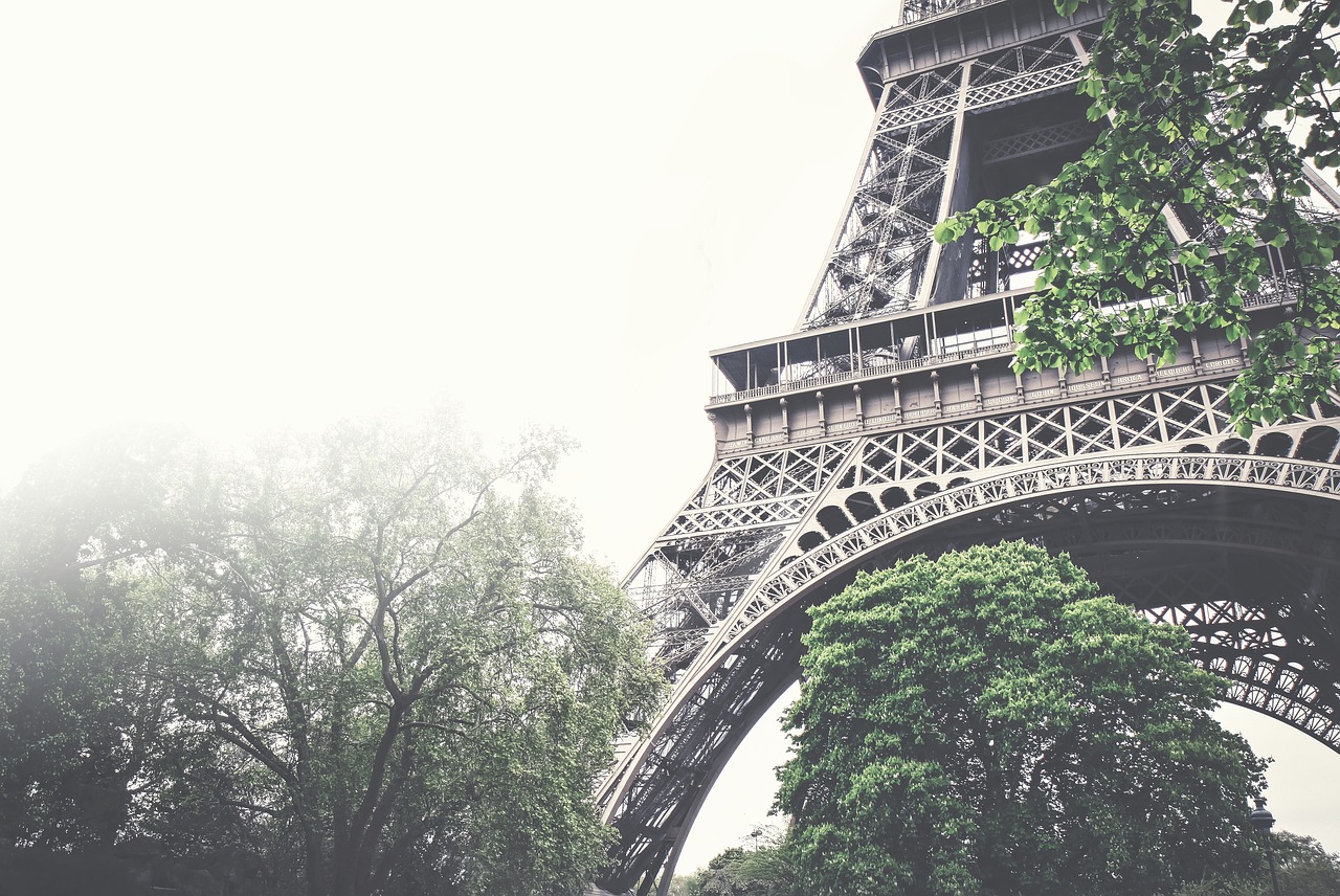 eiffel tower architecture trees free photo