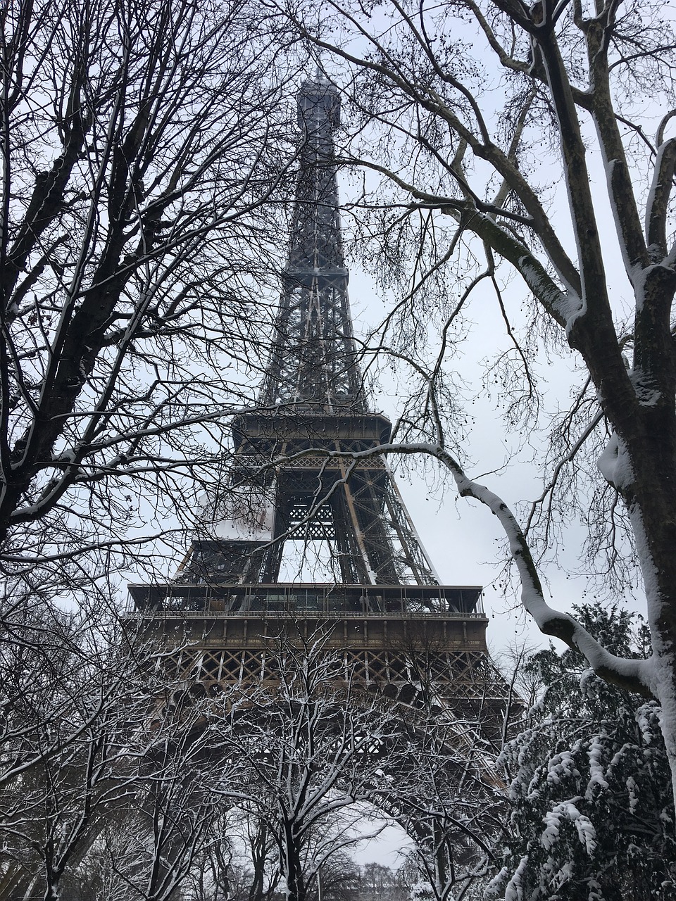 eiffel tower  snow  winter free photo