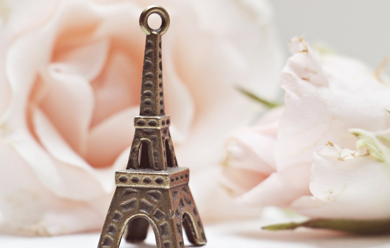 eiffel tower  roses  france free photo