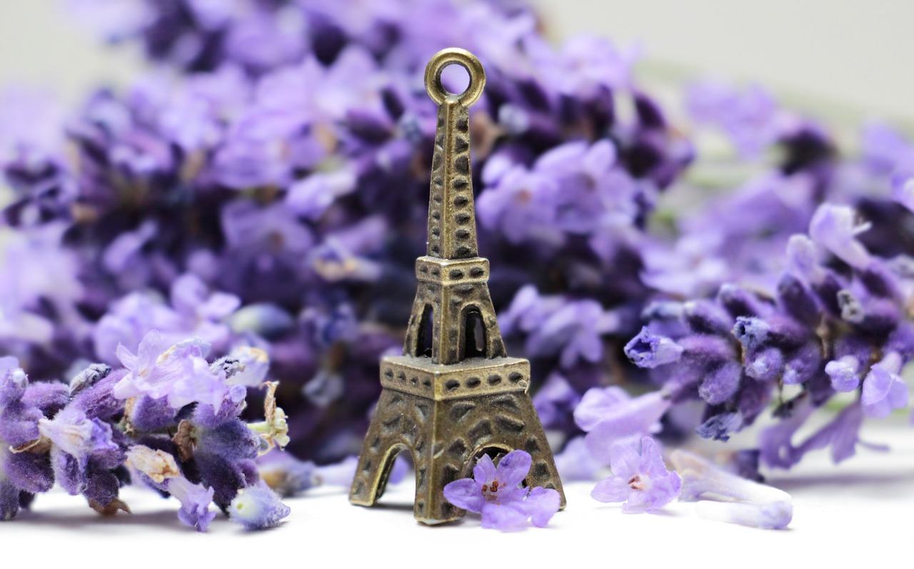 Eiffel tower, roses, france, places of interest, landmark - free image