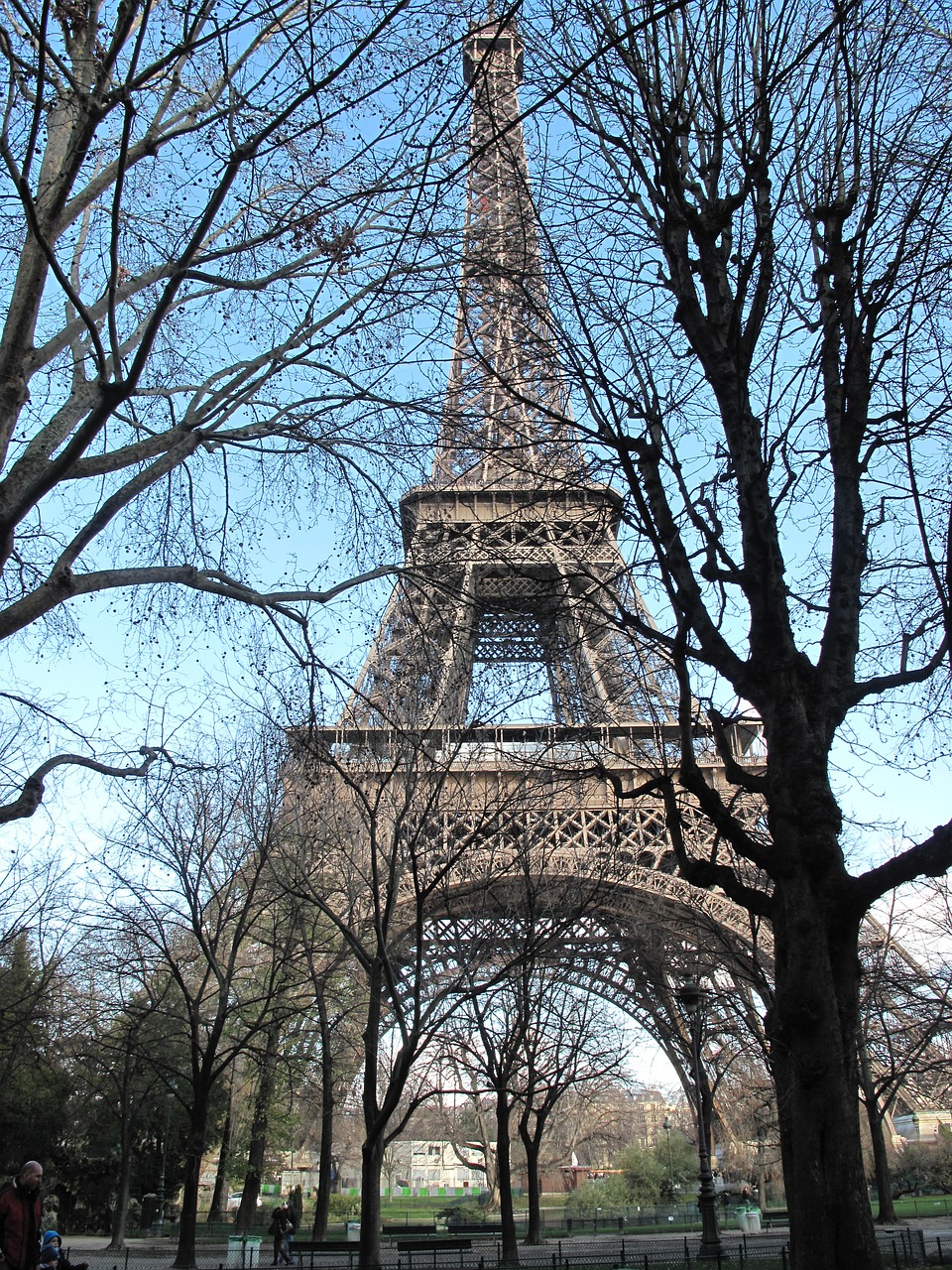 eiffel tower trees branches free photo