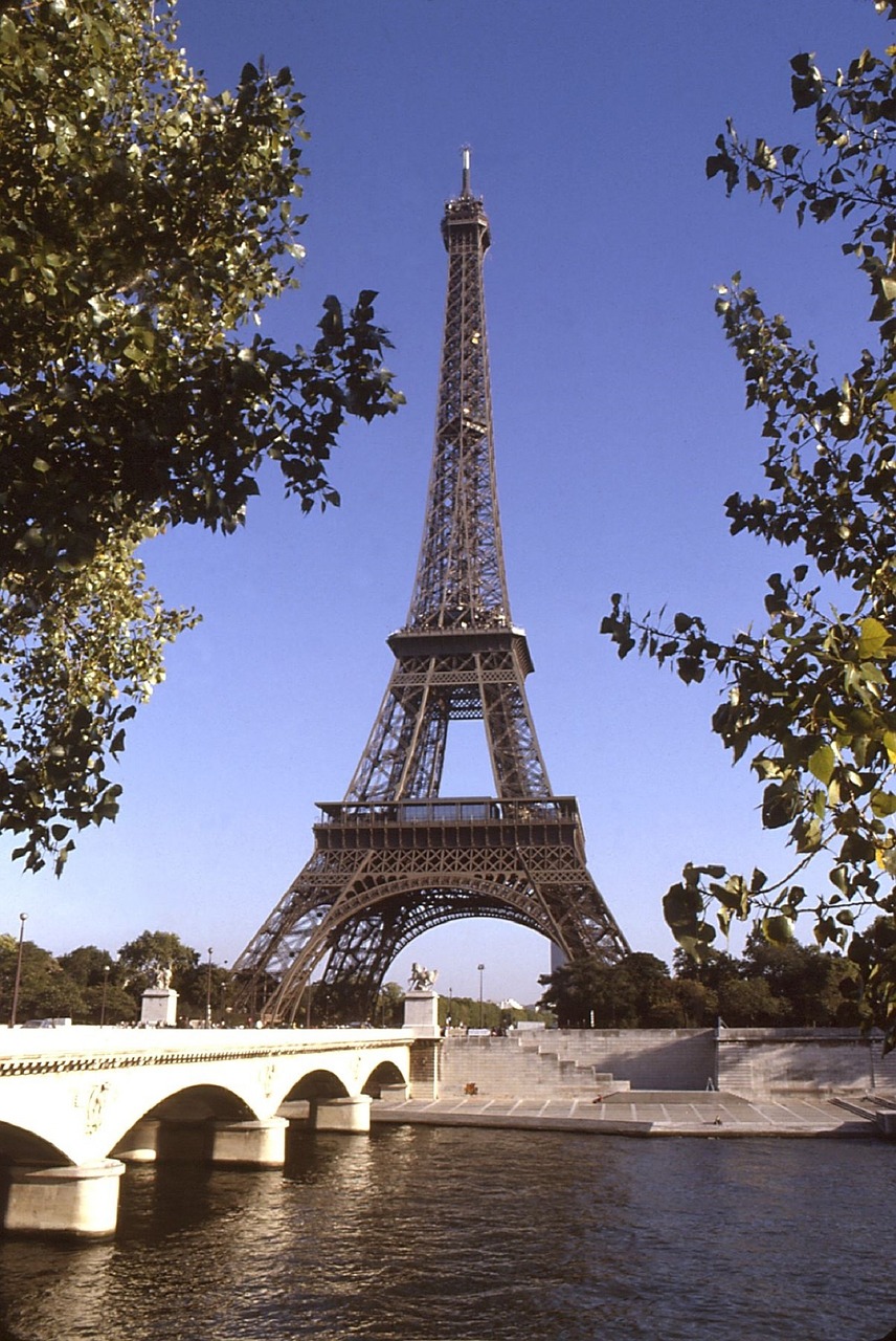 eiffel tower trees branches free photo