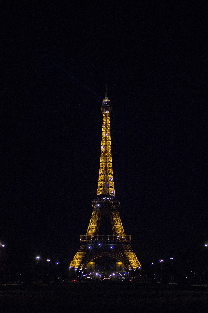 eiffel tower night illuminated free photo