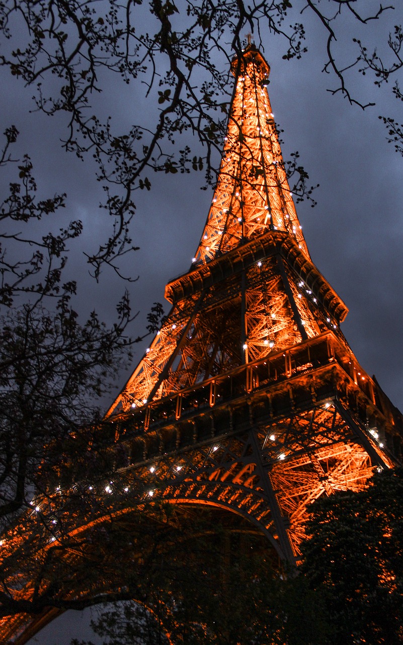 eiffel tower night illuminated free photo