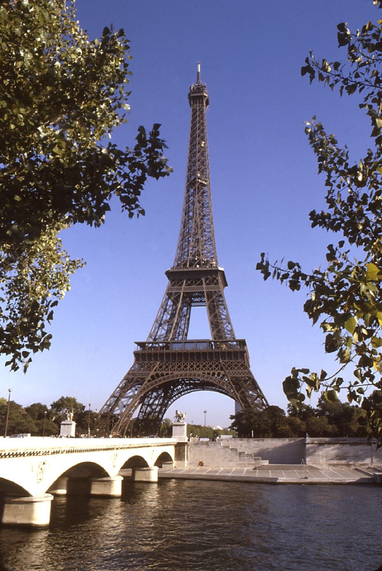 eiffel tower trees branches free photo