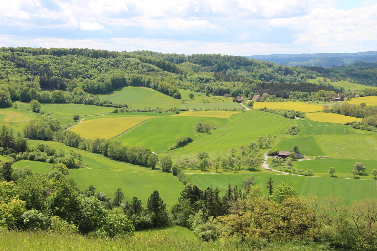 einkorn landscape green free photo