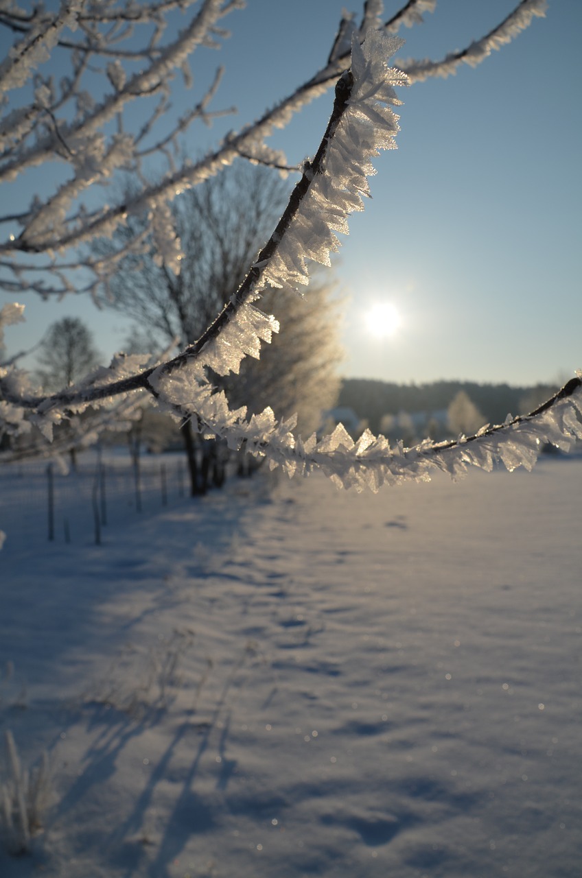 eiskristalle winter magic cold free photo