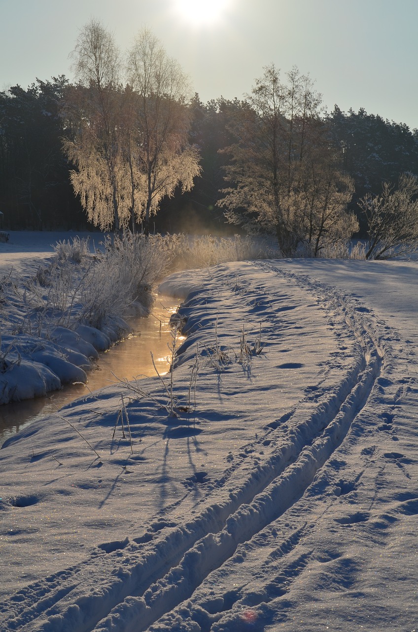 eiskristalle winter magic cold free photo