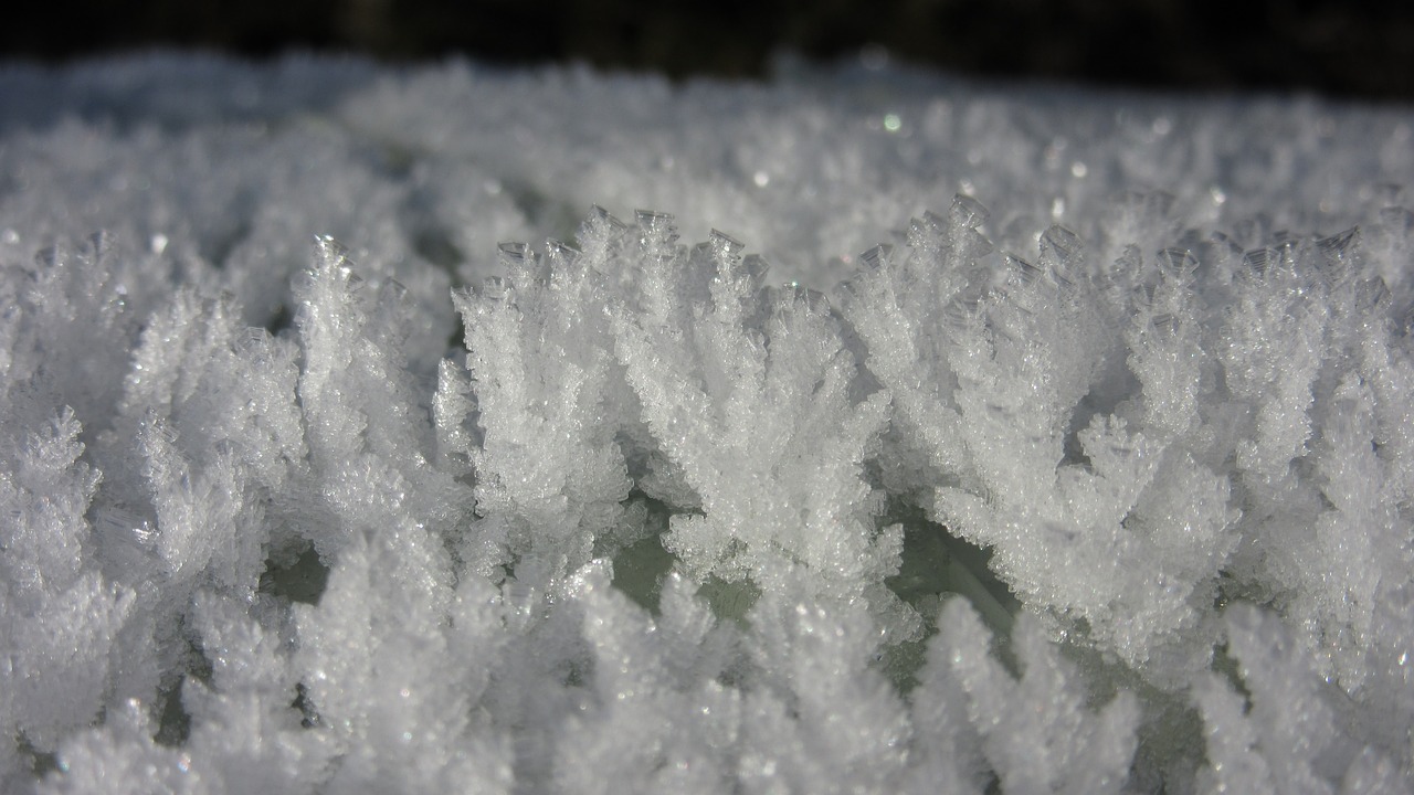 eiskristalle ice hoarfrost free photo