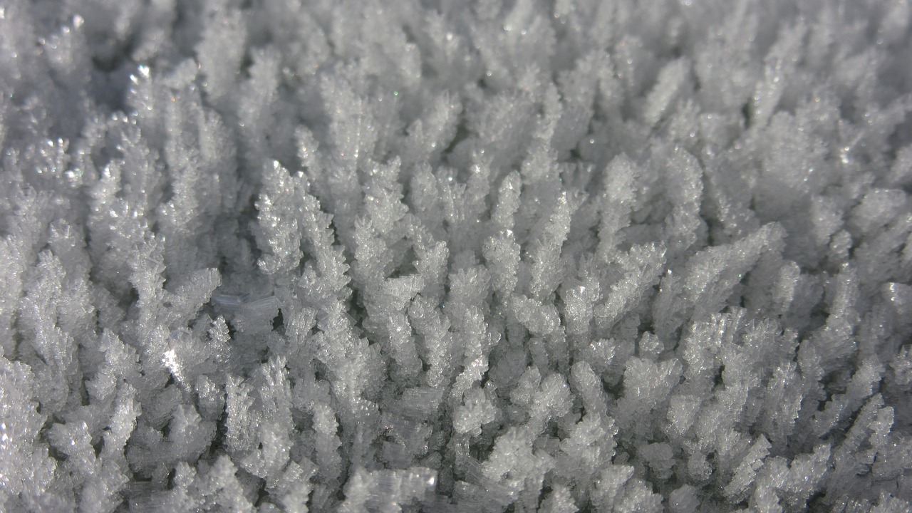 eiskristalle ice hoarfrost free photo